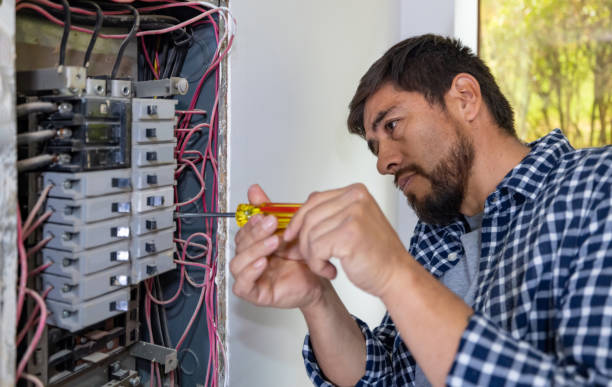 Best Affordable Emergency Electrician  in Mount Clemens, MI